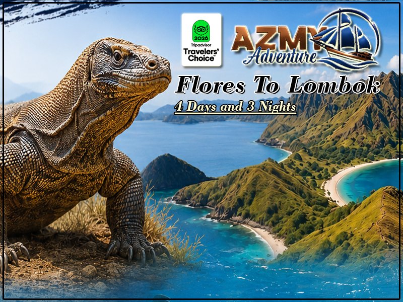liveaboard Komodo explore start from Labuan Bajo to Lombok.