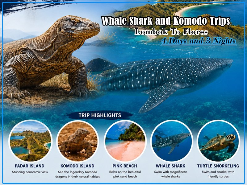 lombok to flores 4 days and 3 nights