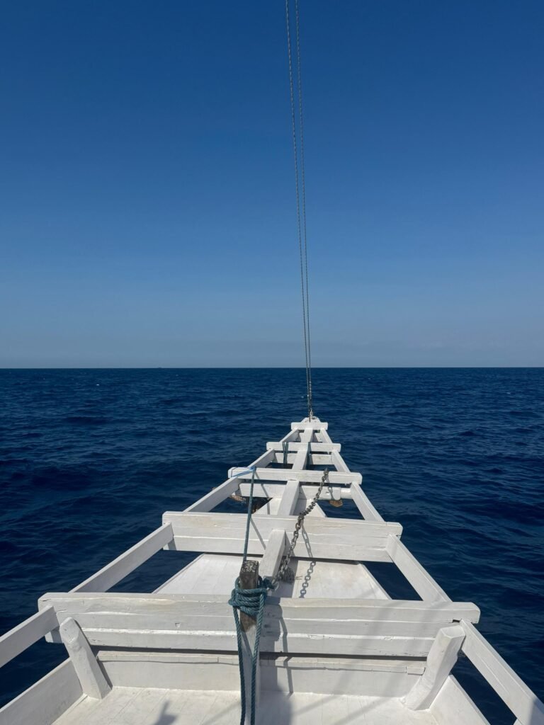 WhatsApp Image 2026-01-04 at 2.10.09 PM