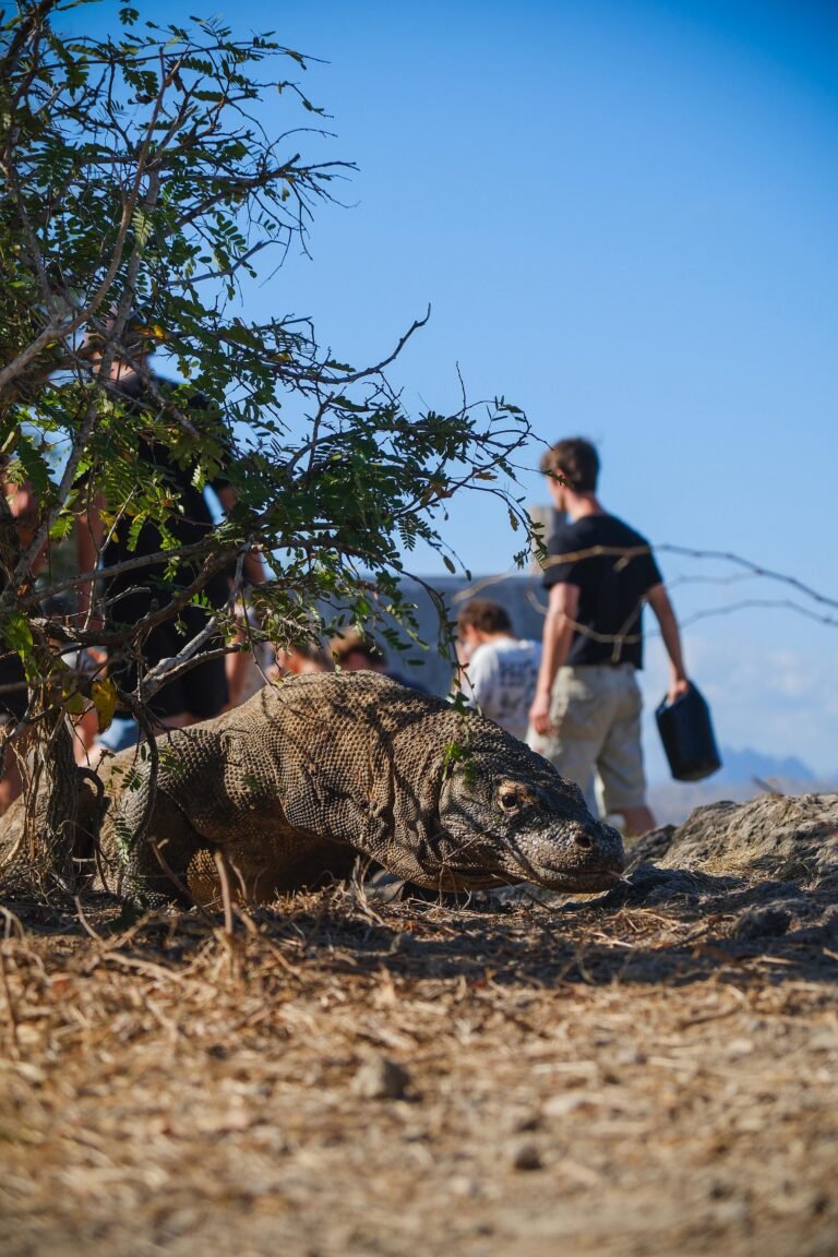 WhatsApp Image 2026-01-04 at 2.10.10 PM (1)