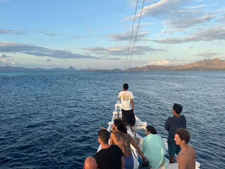 WhatsApp Image 2026-01-04 at 2.10.10 PM