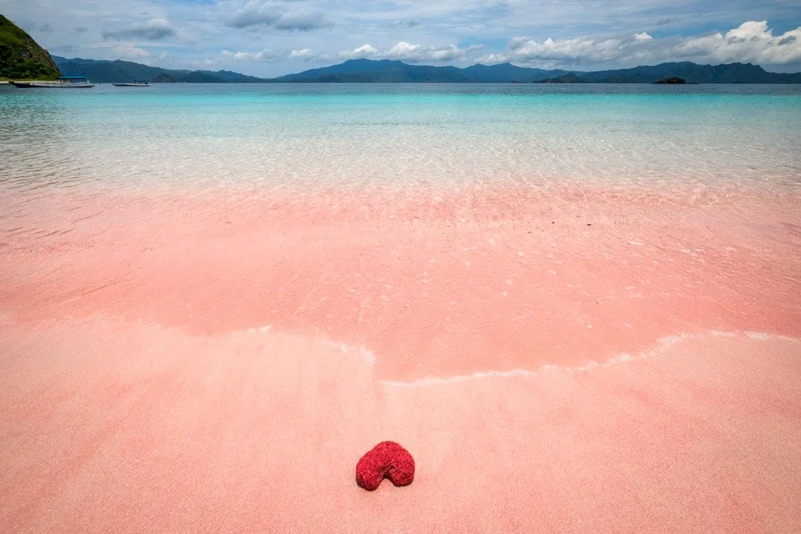 Pink Beach Komodo