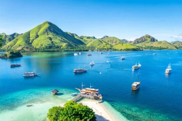 Komodo National Park Landscape