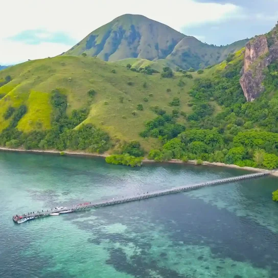 Guests Snorkeling in Komodo