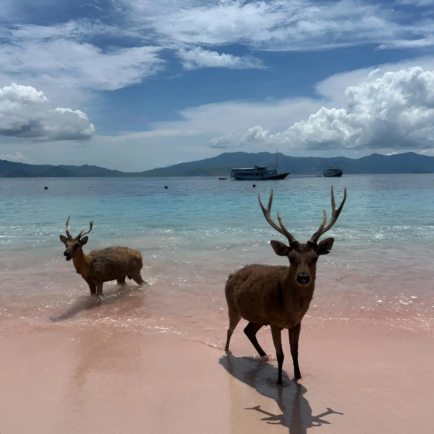 Beautiful beach and turquoise tropical sea